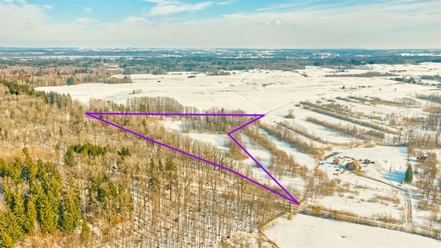 Działka rolna Orłowo. Zdjęcie 10