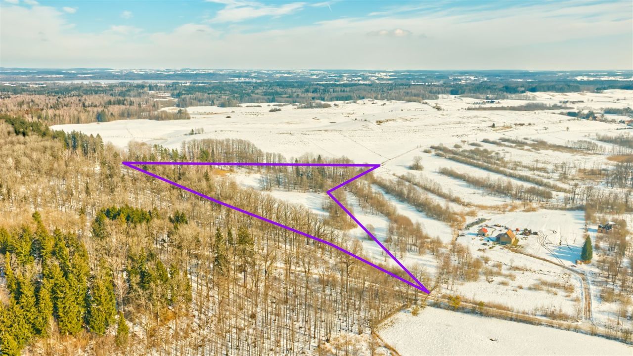 Działka rolna Orłowo. Zdjęcie 10