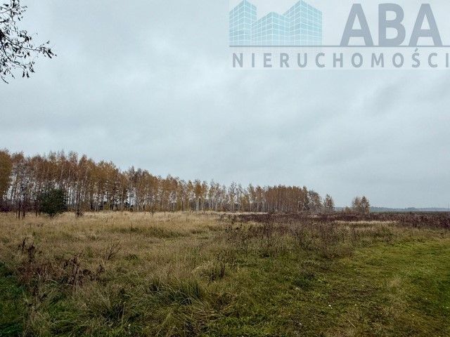 Działka inwestycyjna Wacławów. Zdjęcie 9