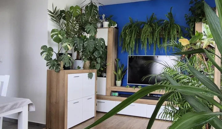 Mieszkanie 2-pokojowe Lublin Wrotków, ul. Ludwika Zalewskiego