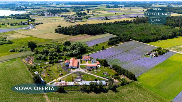 Działka inwestycyjna Łuszczewo. Zdjęcie 8