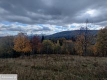 Działka rekreacyjna Zwardoń. Zdjęcie 3