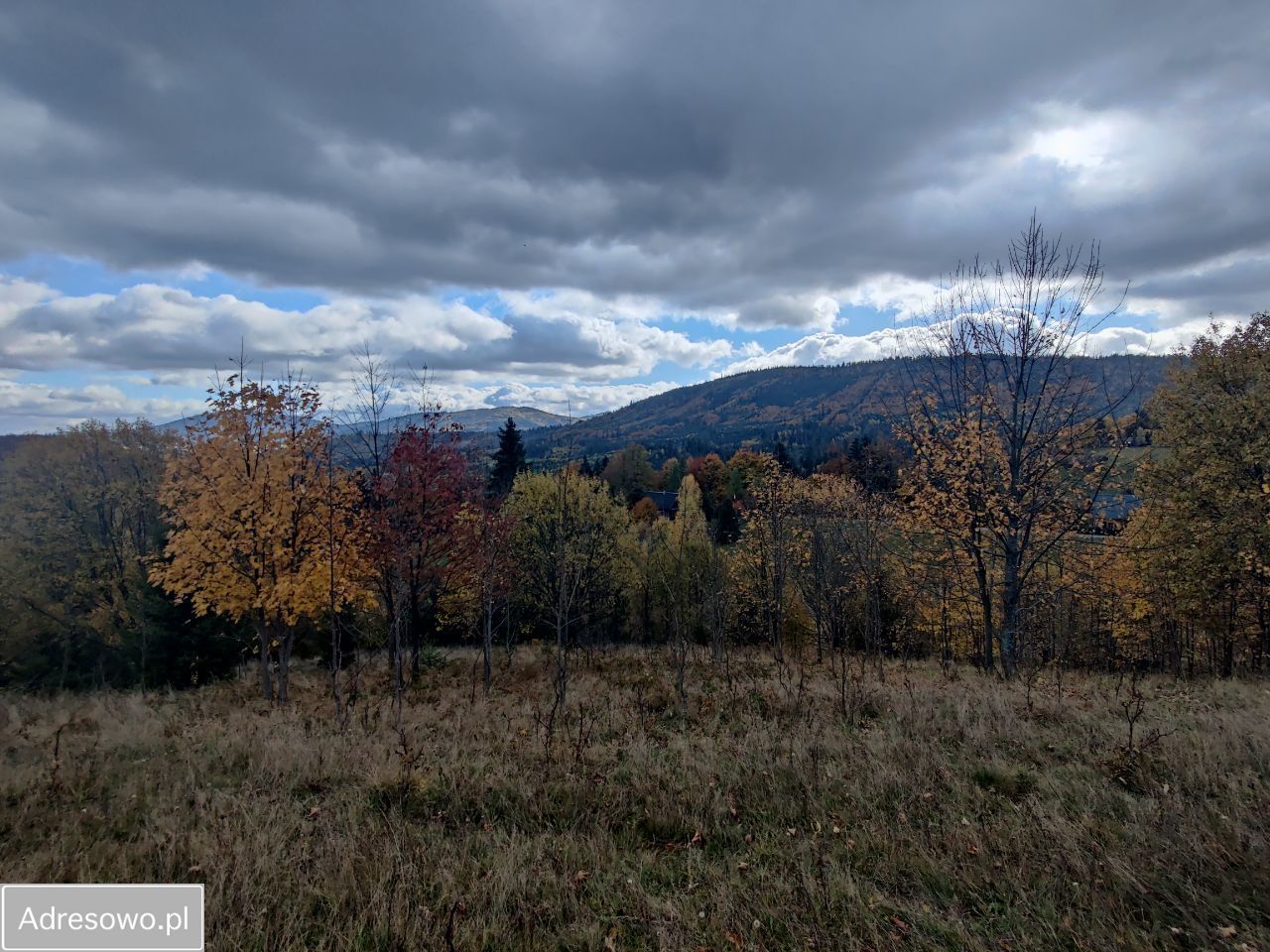 Działka rekreacyjna Zwardoń. Zdjęcie 4
