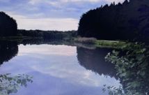 Działka budowlana Helenów. Zdjęcie 1