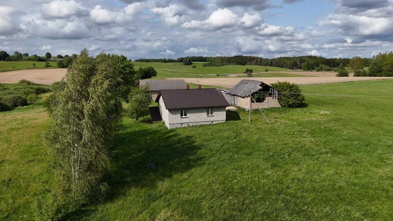 Działka siedliskowa Wysokie. Zdjęcie 4