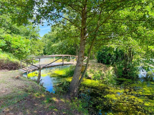 Działka budowlana Boguszków. Zdjęcie 22