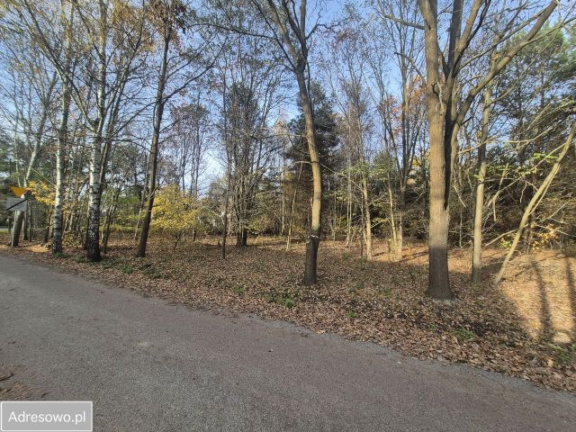 Działka budowlana Złotokłos. Zdjęcie 1