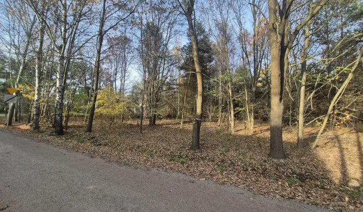 Działka budowlana Złotokłos