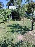 Działka rod Proszowice. Zdjęcie 1
