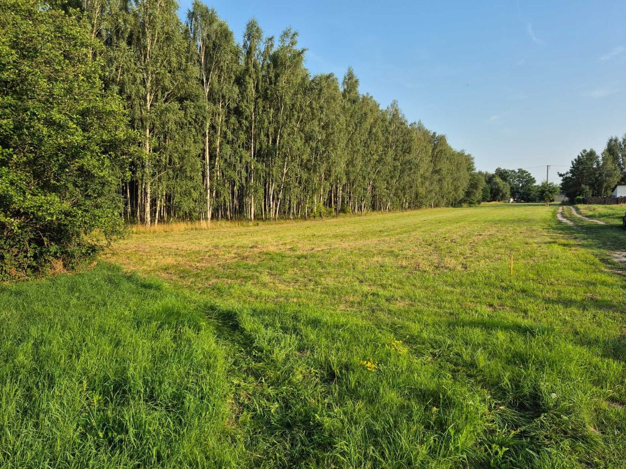 Działka rolno-budowlana Chrzęsne, ul. Platynowa. Zdjęcie 2