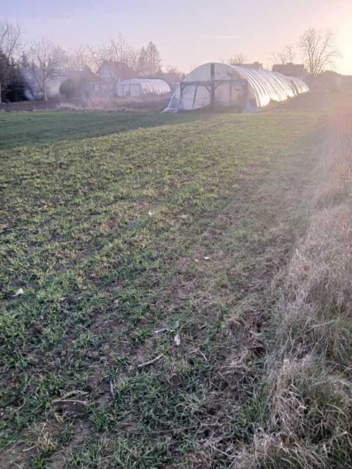 Działka budowlana Franciszków. Zdjęcie 5