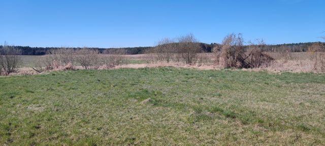 Działka rolno-budowlana Silna. Zdjęcie 1