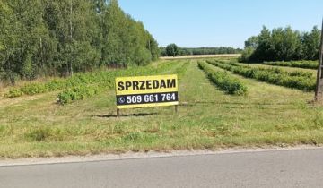 Działka rolno-budowlana Policzna Podsusze, ul. Lipowa