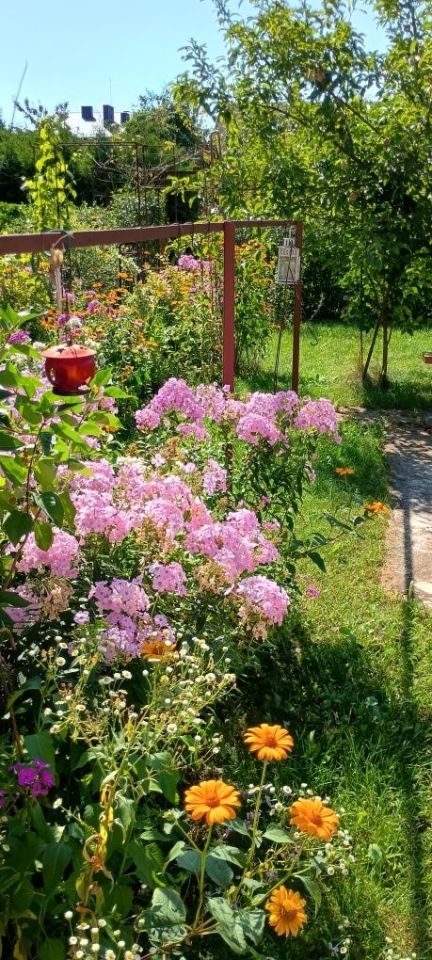 Działka rod Łódź Retkinia, ul. ks. Jerzego Popiełuszki. Zdjęcie 5