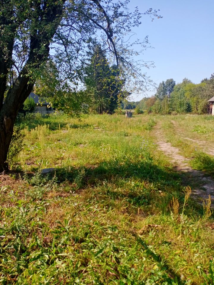 Działka rolno-budowlana Bereza. Zdjęcie 6