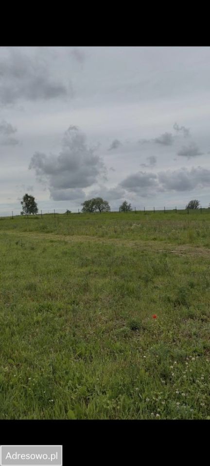 Działka rekreacyjna Rewal, ul. Kasztanowa. Zdjęcie 4