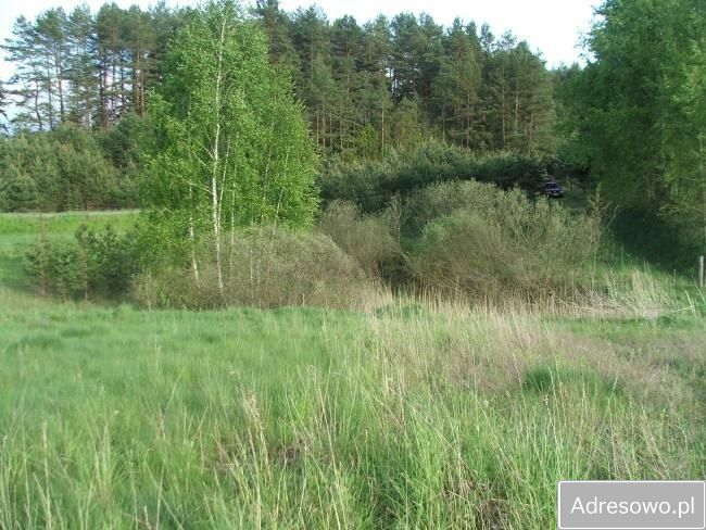 Działka rolna Giby. Zdjęcie 3