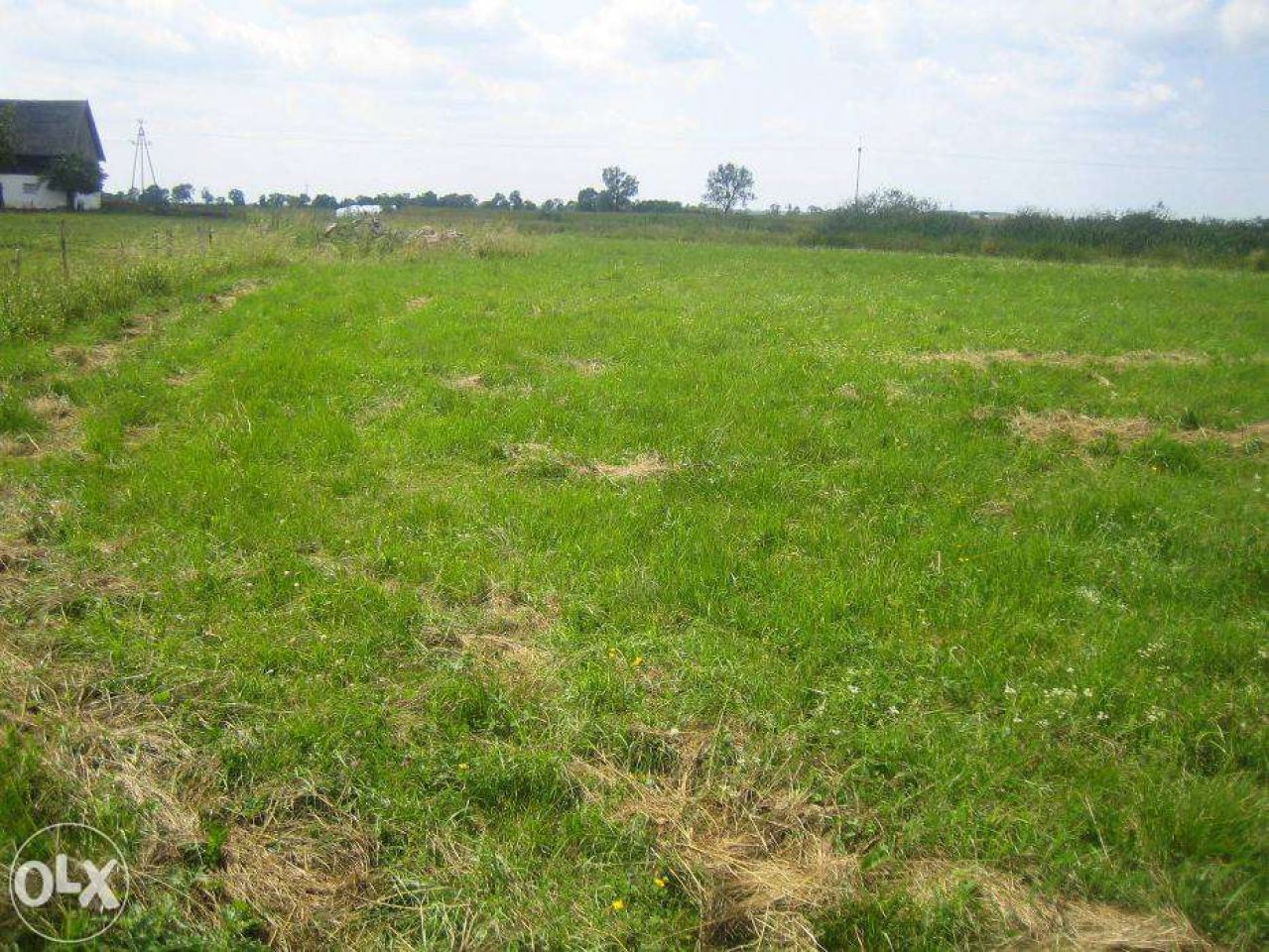 Działka budowlana Wielochowo. Zdjęcie 6