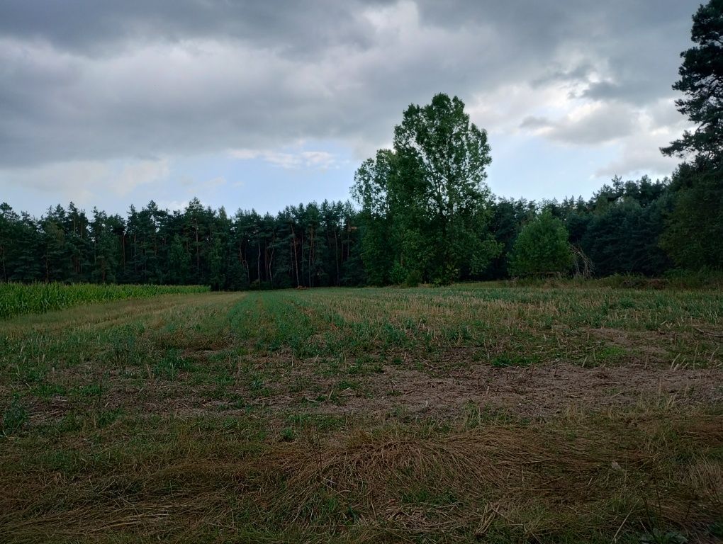 Działka budowlana Polków-Daćbogi