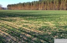 Działka rolna Nowy Kozłów Pierwszy