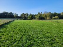 Działka rolna Zgniłocha, Brak. Zdjęcie 3