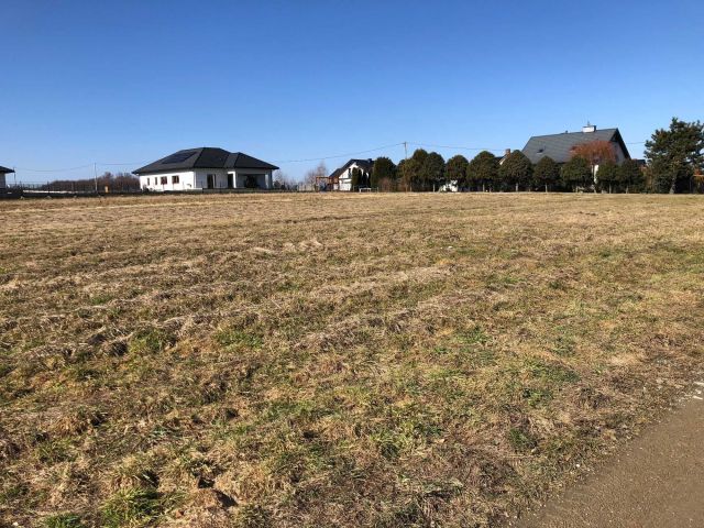 Działka budowlana Dębno. Zdjęcie 1