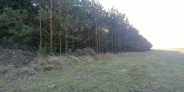 Działka rolna Biała Piska. Zdjęcie 5