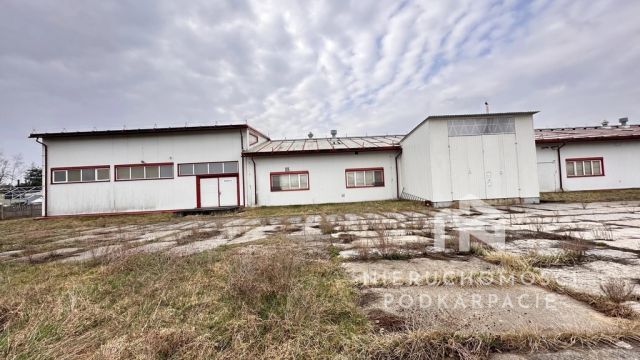 Hala/magazyn Nisko, ul. Nowa-Boczna. Zdjęcie 19