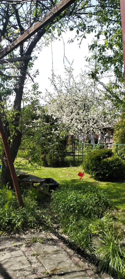 Działka rod Radom, ul. Odrodzenia. Zdjęcie 6