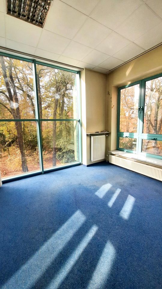 Lokal Rybnik Śródmieście, ul. Henryka Wieniawskiego. Zdjęcie 12