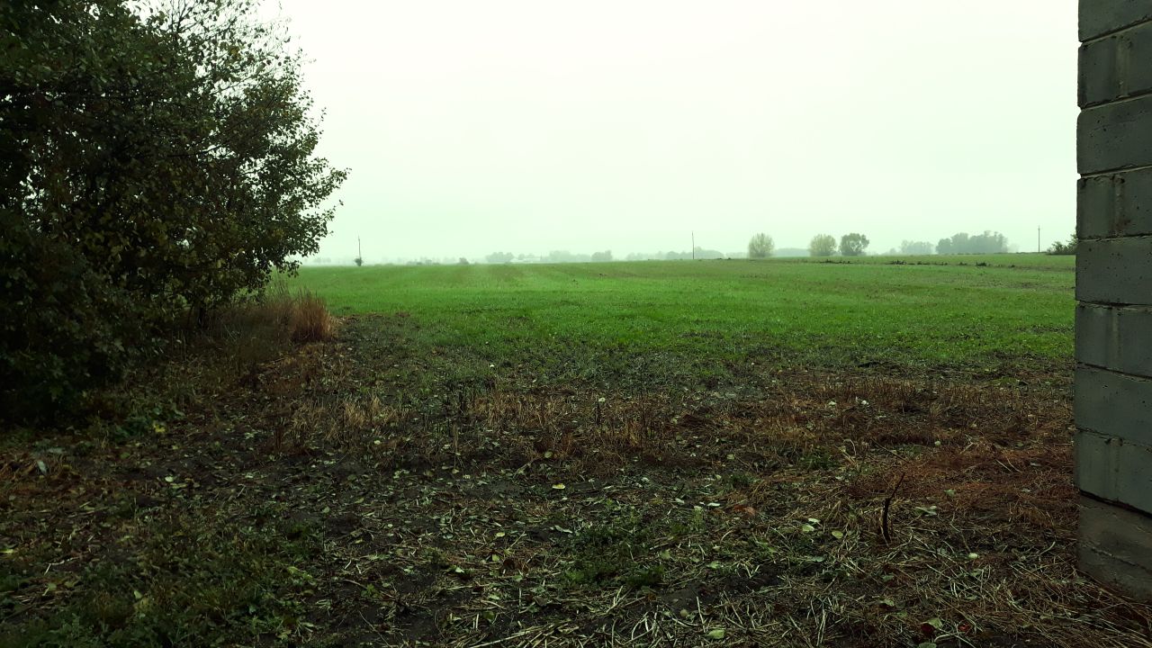 Działka siedliskowa Galominek. Zdjęcie 6