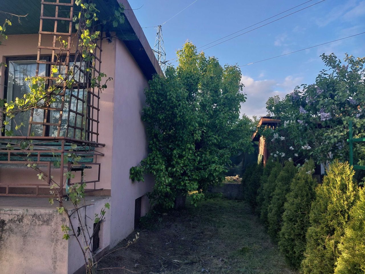 Działka rod Kielce, ul. Gustawa Morcinka. Zdjęcie 7