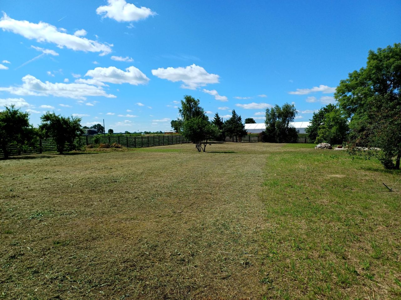 Działka budowlana Młodasko, ul. Kaźmierska. Zdjęcie 7