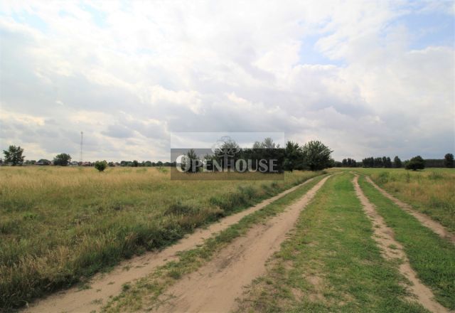 Działka budowlana Górczyna. Zdjęcie 3