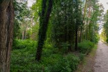 Działka budowlana Konstancin-Jeziorna. Zdjęcie 4