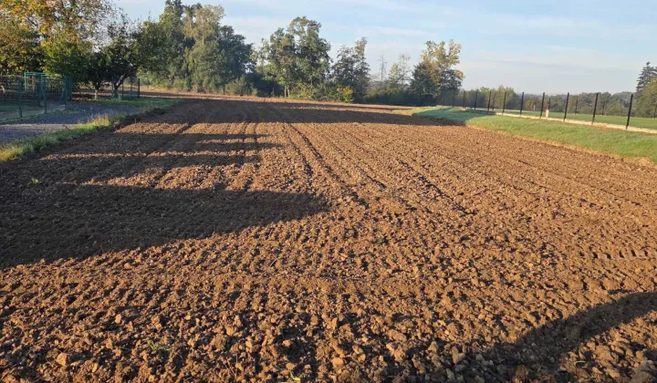 Działka rolno-budowlana Pielgrzymowice