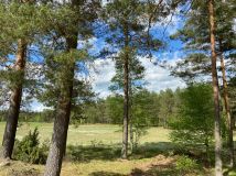 Działka siedliskowa Czarne. Zdjęcie 1