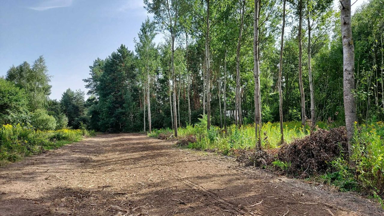 Działka rekreacyjna Osieck. Zdjęcie 2