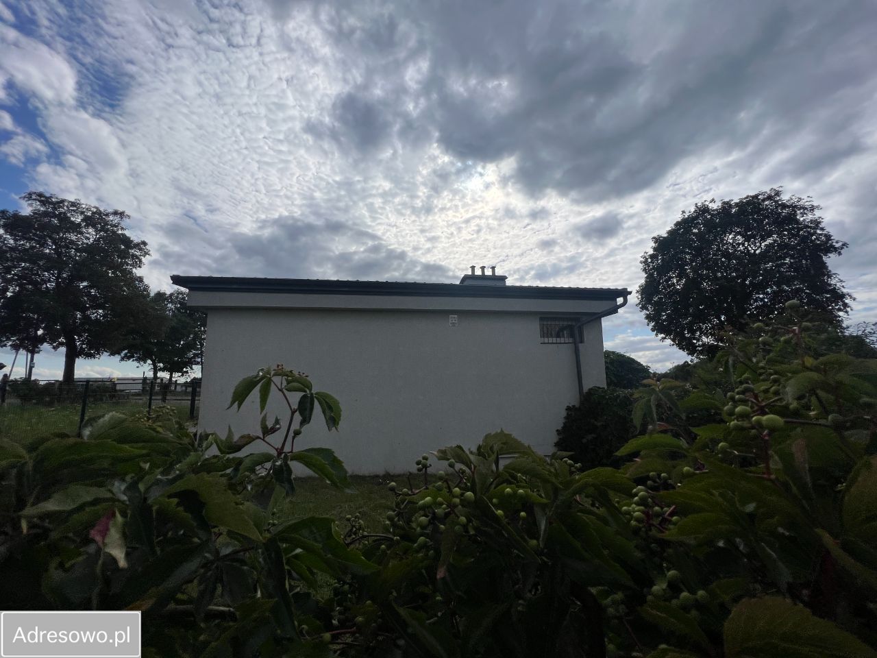 Lokal Czarna Woda. Zdjęcie 2