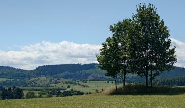 Działka budowlana Bartnica