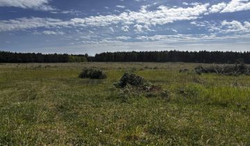 Działka budowlana Trzcinna