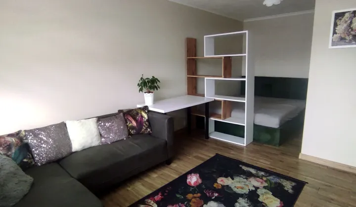 Mieszkanie 1-pokojowe Zielona Góra Centrum, ul. Lisia