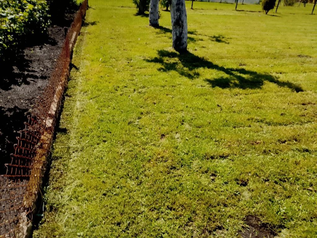 Działka rod Piła. Zdjęcie 2