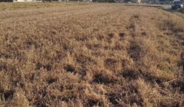 Działka budowlana Pietrzykowice, ul. Wielodroga