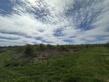 Działka rolno-budowlana Kobierniki. Zdjęcie 3