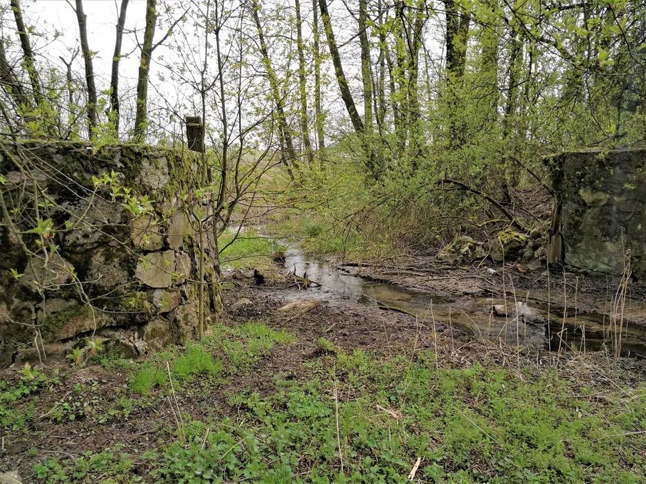 Działka rolno-budowlana Biała Rawska, ul. Topolowa. Zdjęcie 2