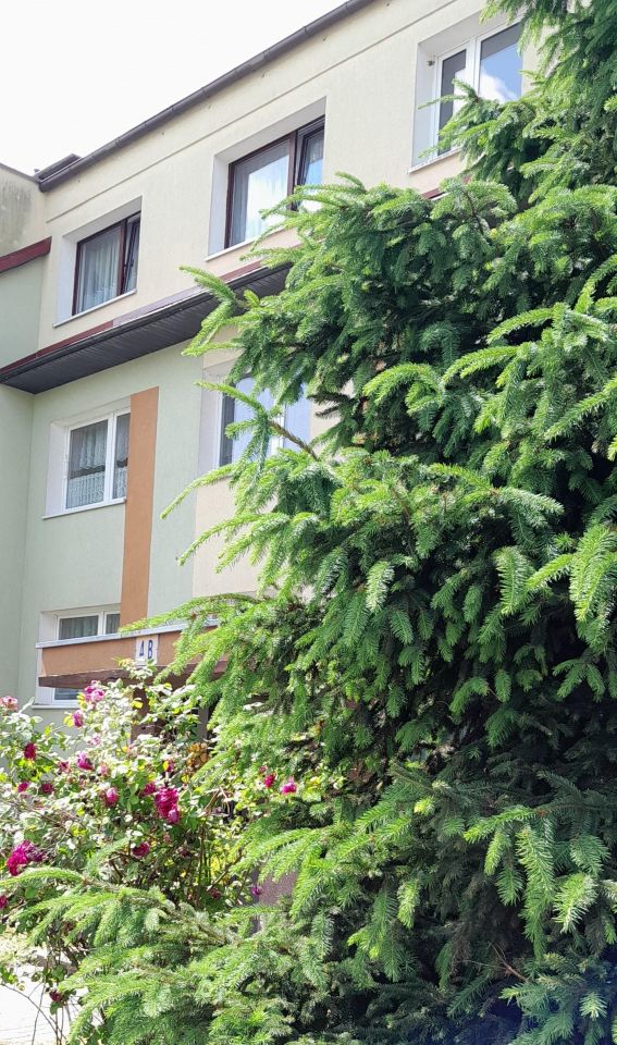 Mieszkanie 3-pokojowe Pyrzyce, ul. Staromiejska. Zdjęcie 2