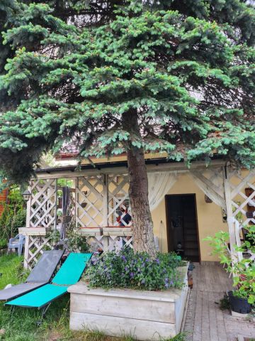 Działka rod Szczecin Gumieńce, ul. Południowa. Zdjęcie 1