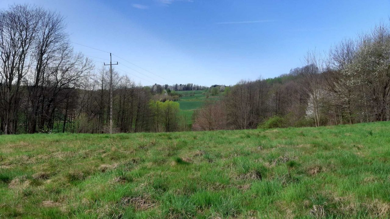 Działka budowlana Miłoszów. Zdjęcie 7