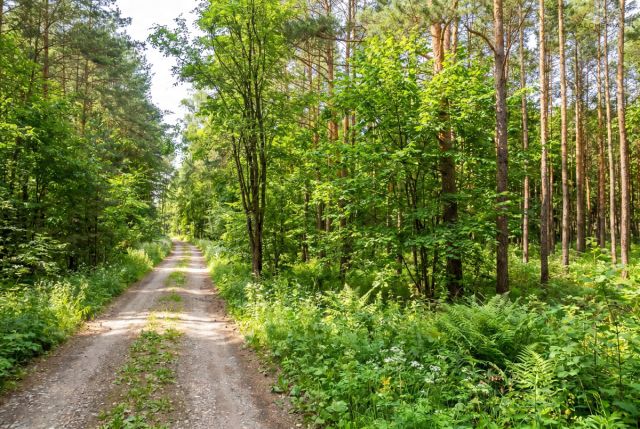 Działka budowlana Warszawa Wesoła, ul. Adama Mickiewicza. Zdjęcie 5